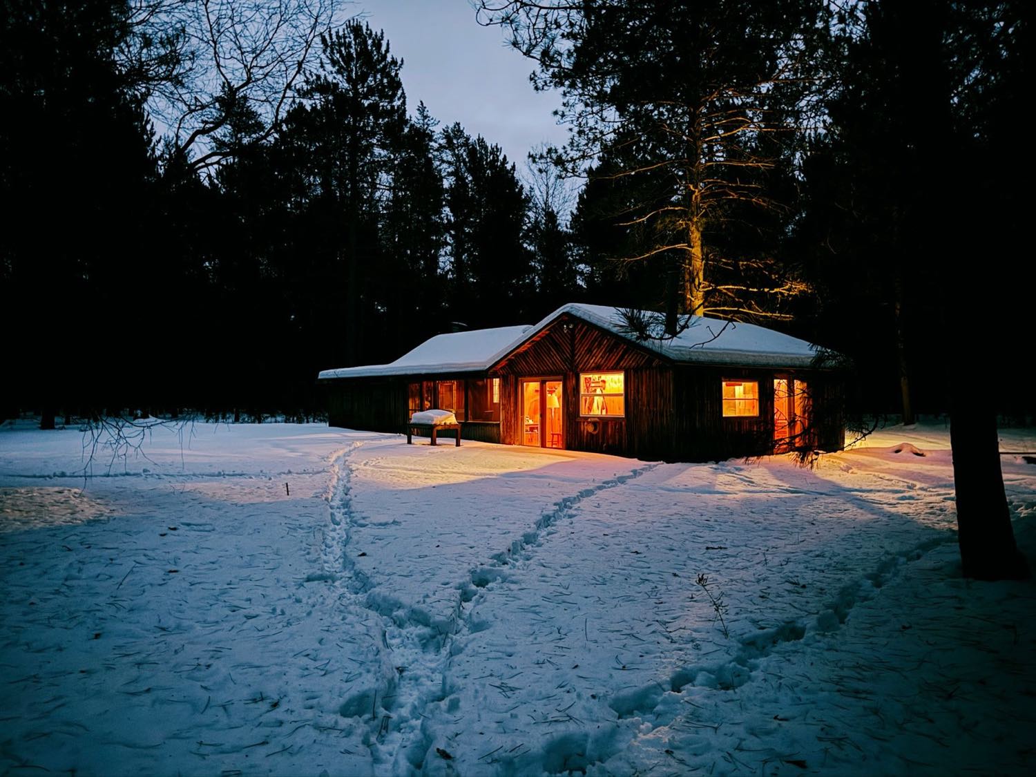 A low timber building with warmly lit windows standing in deep snow among tall pines at dusk, with ski tracks leading to the door